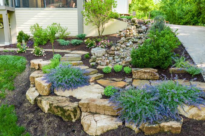 Landscape detail with stone, planting, and structured greenery
